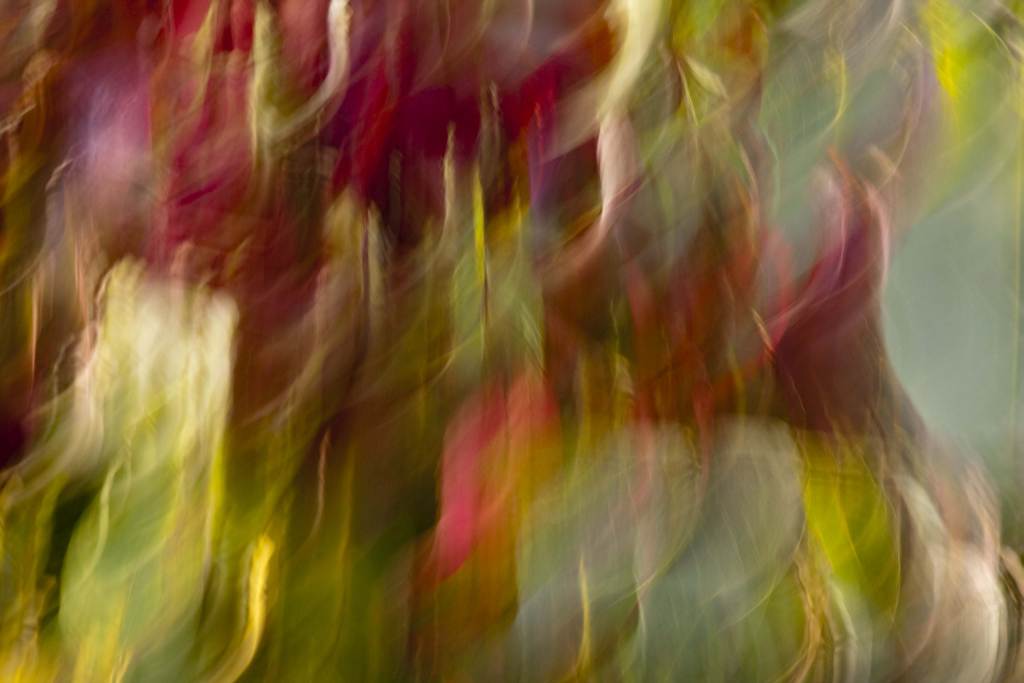 _MG_0100.JPG